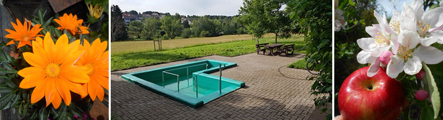 Kneipp-Verein Merchweiler e.V. - Kontakt Startseite